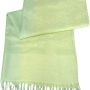 Green Two Tone Design Pashmina Shawl Scarf Wrap Pashminas Shawls NEW a3040-504