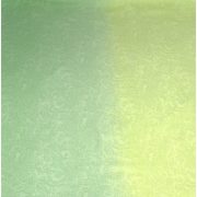 Green Two Tone Design Pashmina Shawl Scarf Wrap Pashminas Shawls NEW a3040-505