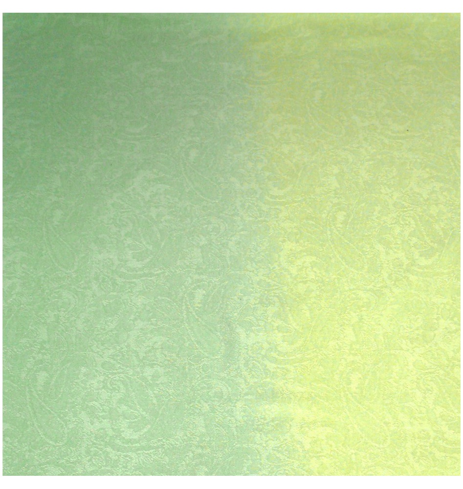 Green Two Tone Design Pashmina Shawl Scarf Wrap Pashminas Shawls NEW a3040-505