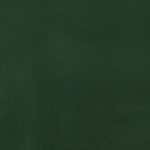 Dark Green 6 SWATCH